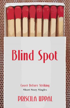 Book cover of Blind Spot