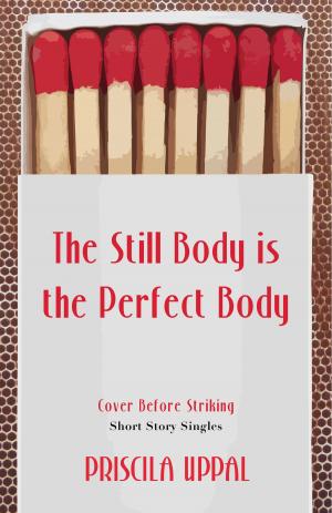 Cover of the book The Still Body Is the Perfect Body by Nick Wilkshire