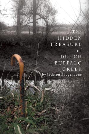 Cover of the book The Hidden Treasure of Dutch Buffalo Creek by Patricia M. Cooper