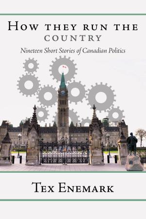Cover of the book How They Run The Country by Alain Fournier