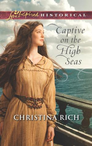 Book cover of Captive on the High Seas