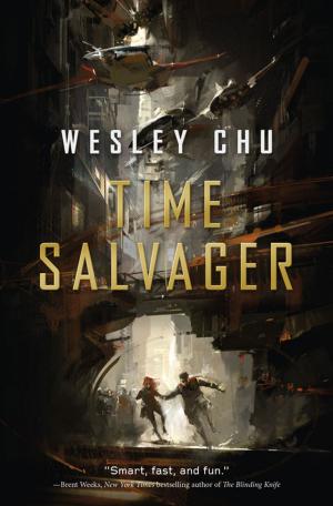 Cover of the book Time Salvager by Melinda Snodgrass, Wild Cards Trust