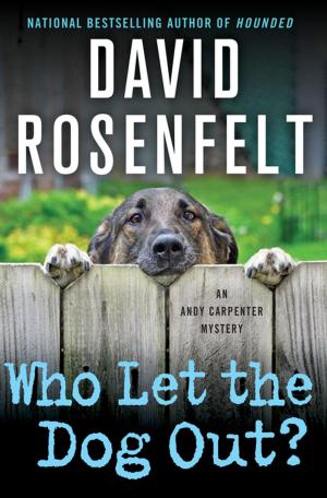bigCover of the book Who Let the Dog Out? by 