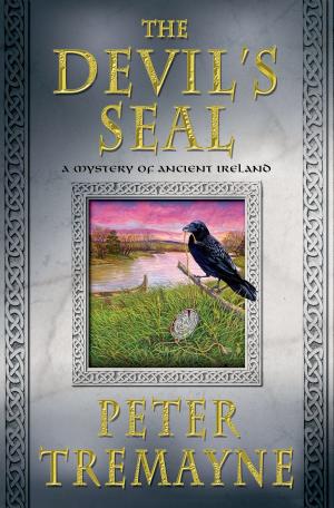 Cover of the book The Devil's Seal by Regina Brooks, Brenda Lane Richardson