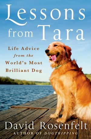 Cover of the book Lessons from Tara by R. Tucker Abbott