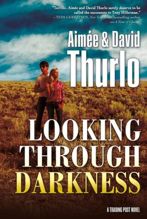 Cover of the book Looking Through Darkness by Jenna Black