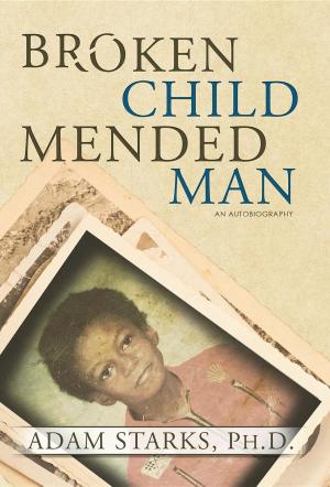 Book cover of Broken Child Mended Man
