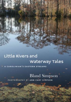 Cover of the book Little Rivers and Waterway Tales by Ron Milam