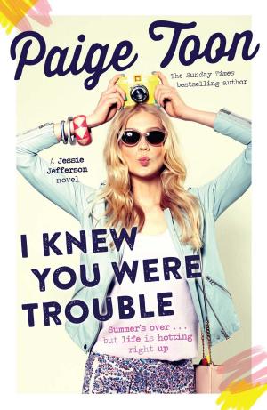 Cover of the book I Knew You Were Trouble by Mary Gaitskill