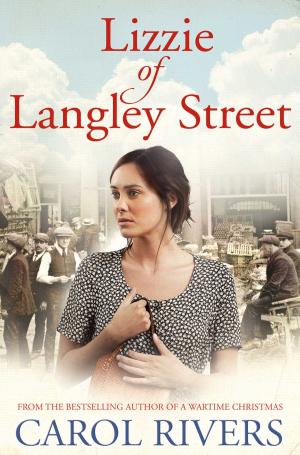 Cover of the book Lizzie of Langley Street by Kaye Umansky