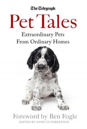 Cover of the book Pet Tales by David Dickinson