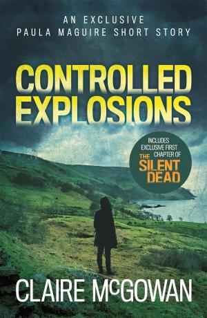 Cover of the book Controlled Explosions (A Paula Maguire Short Story) by Janet Mullany