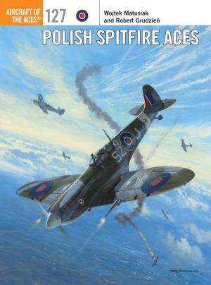 Cover of the book Polish Spitfire Aces by Carlos Caballero Jurado