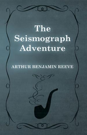 Cover of the book The Seismograph Adventure by Fergus Hume