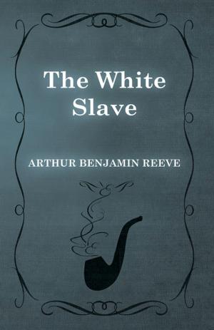 Cover of the book The White Slave by Mohammad Ali Al Haj Salmin