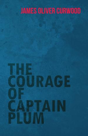 Book cover of The Courage of Captain Plum