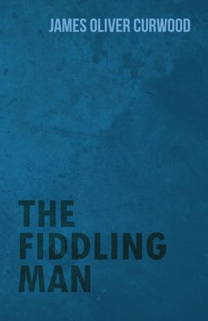 Book cover of The Fiddling Man