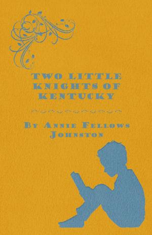 Book cover of Two Little Knights of Kentucky