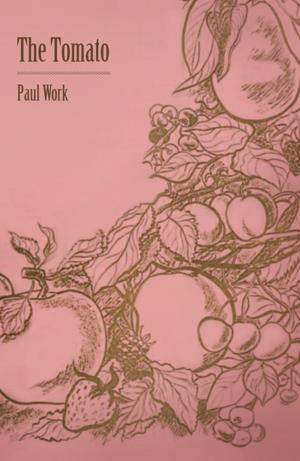 Cover of the book The Tomato by Wolfgang Pauli