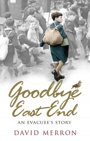 Cover of the book Goodbye East End by Donncha O'Callaghan