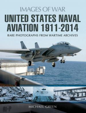 bigCover of the book United States Naval Aviation 1911-2014 by 