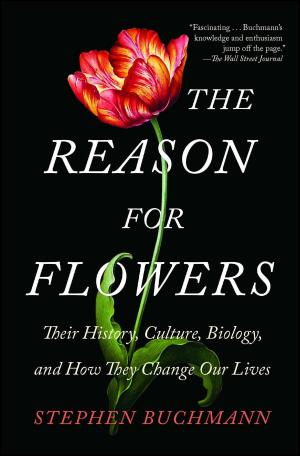 Cover of the book The Reason for Flowers by Meg Wolitzer