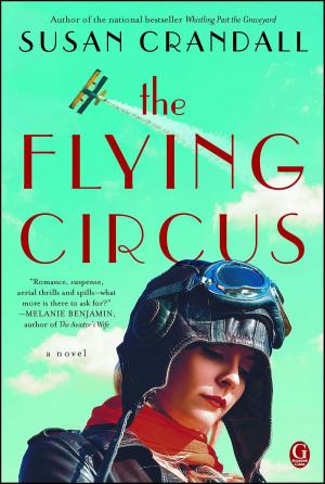 Cover of the book The Flying Circus by Sarah Lewitinn