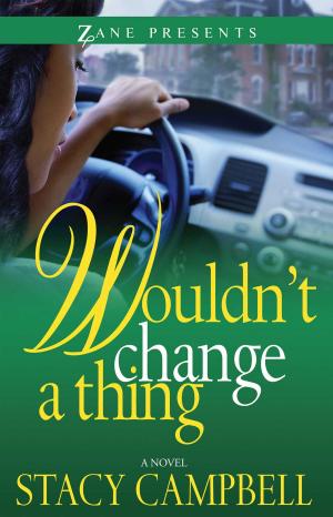 Cover of the book Wouldn't Change a Thing by Jaye Cherie