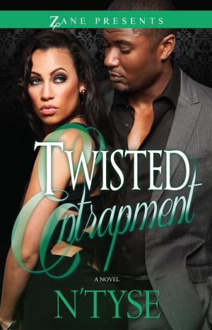 Cover of the book Twisted Entrapment by Janet Stevens Cook
