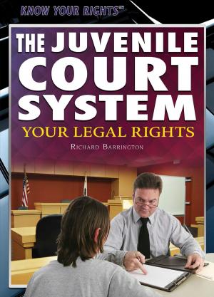 Cover of the book The Juvenile Court System by Sandra K. Athans, Robin W. Parente
