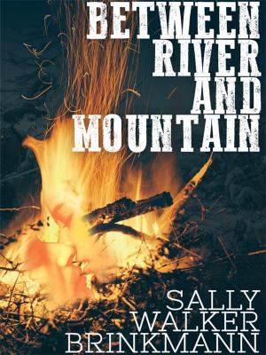Cover of the book Between River and Mountain by Edmund Glasby