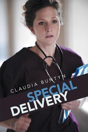 Cover of the book Special Delivery by D'Orsay Logan