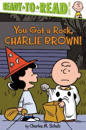 Book cover of You Got a Rock, Charlie Brown!