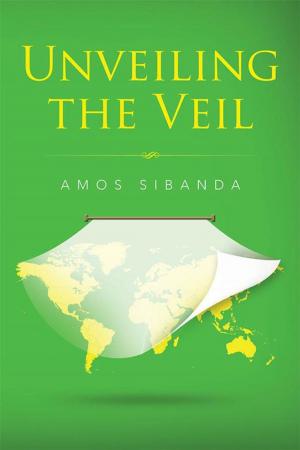 Cover of the book Unveiling the Veil by Wendy Lu