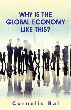 Cover of the book Why Is the Global Economy Like This? by Qais Gasibat