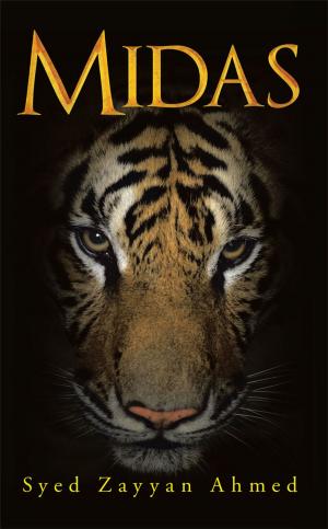 Cover of the book Midas by Narinder Bhandari