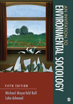 Cover of the book An Invitation to Environmental Sociology by Ravi Chaudhry