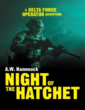 Cover of the book Night of the Hatchet by Indy V. Smith
