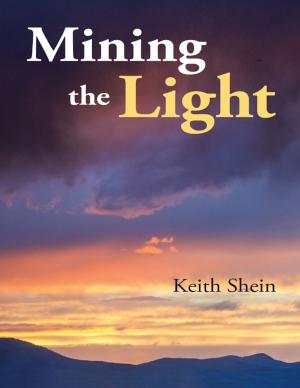 Cover of the book Mining the Light by J. Hayes Hurley