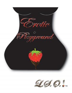 Cover of the book Erotic Playground by Mark Heathco