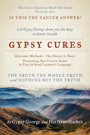 Cover of the book Gypsy Cures by Veronica Farmer