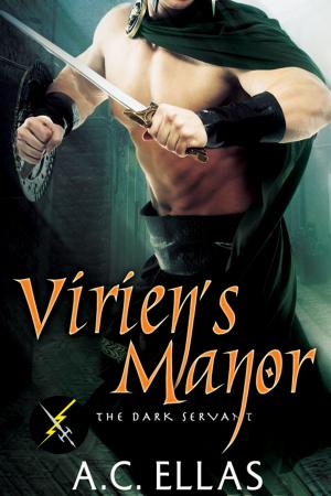 Cover of the book Virien's Manor by RJ Castiglione