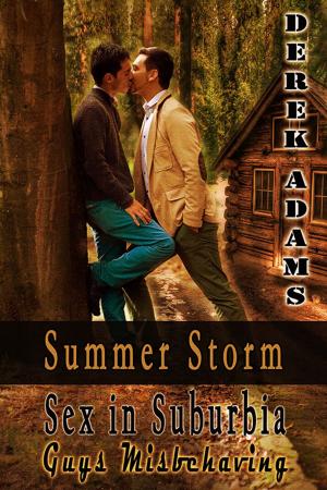 Cover of the book Summer Storm by Alyssa Becker
