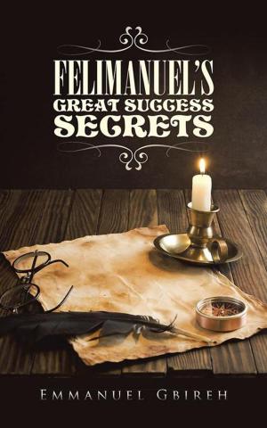 Cover of the book Felimanuel’S Great Success Secrets by James C. Allison