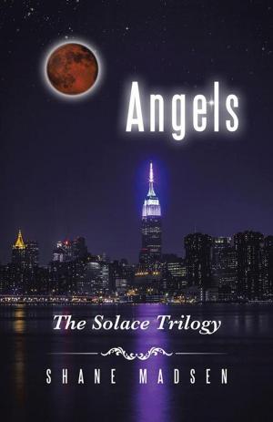 Cover of the book Angels by David Gay-Perret