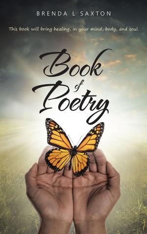 Cover of the book Book of Poetry by Angel Joan