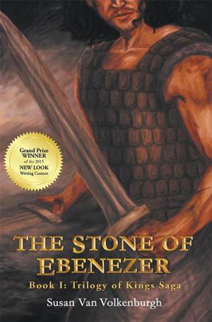 Book cover of The Stone of Ebenezer
