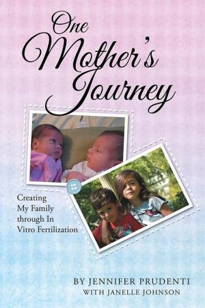 Cover of the book One Mother’S Journey by Lewis Brogdon