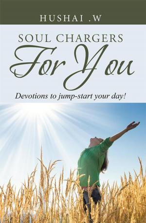 Cover of the book Soul Chargers for You by Liesle Daniel