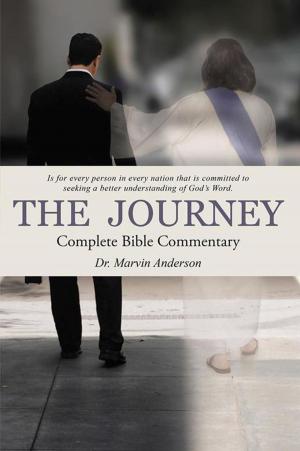 Cover of the book The Journey by Jason Ryan